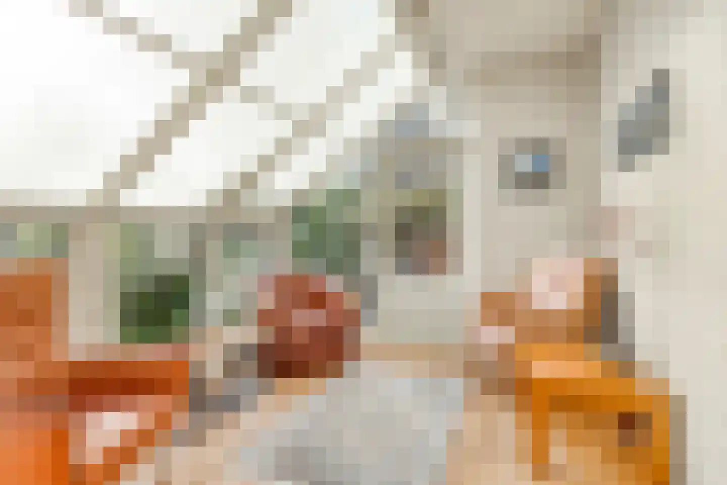 Zeelandweg-Oost 5 Steenbergen thumbnail 7
