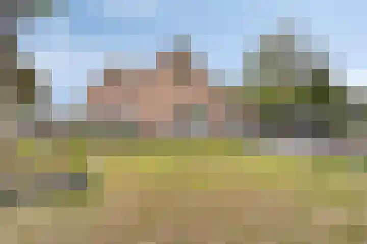 Zeelandweg-Oost 58 De Heen thumbnail 33
