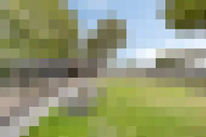 Zeelandweg-Oost 58 De Heen thumbnail 34