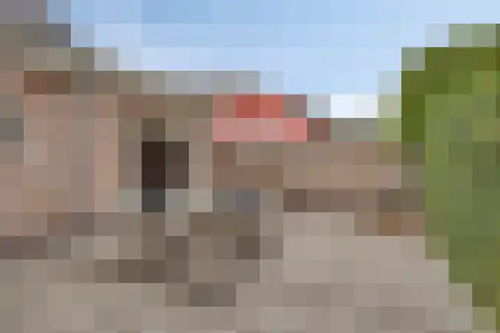 Zeelandweg-Oost 58 De Heen thumbnail 37