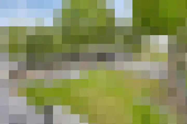 Zeelandweg-Oost 58 De Heen thumbnail 4