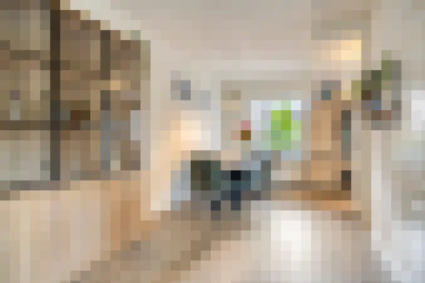 Zeelberg 5 Veldhoven thumbnail 11