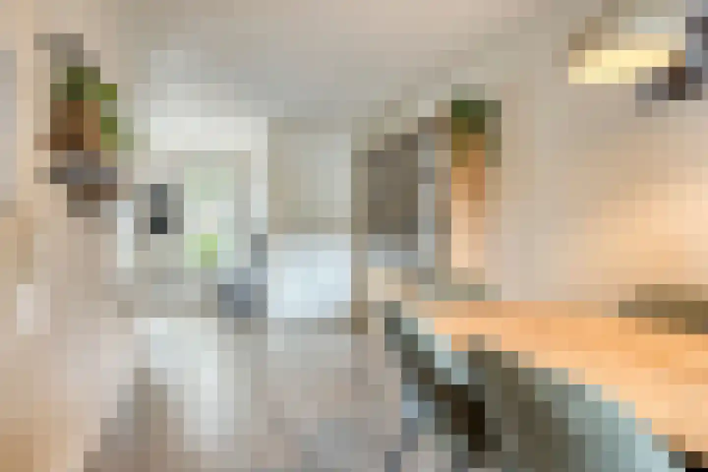 Zeelberg 5 Veldhoven thumbnail 12