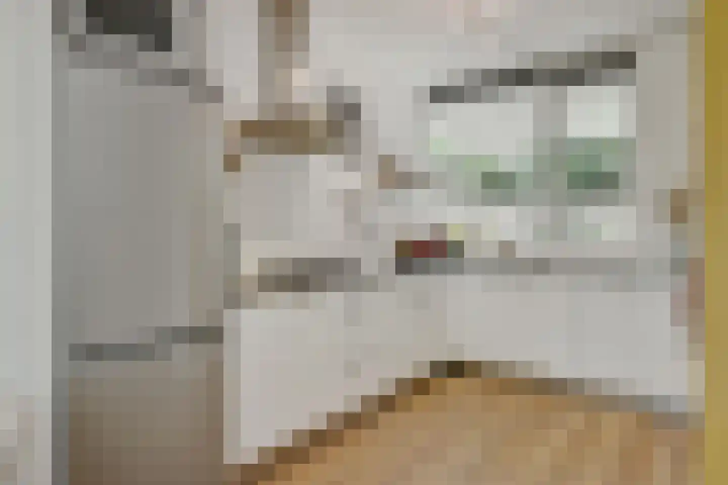 Zeeldraaierstraat 6 Vught thumbnail 10