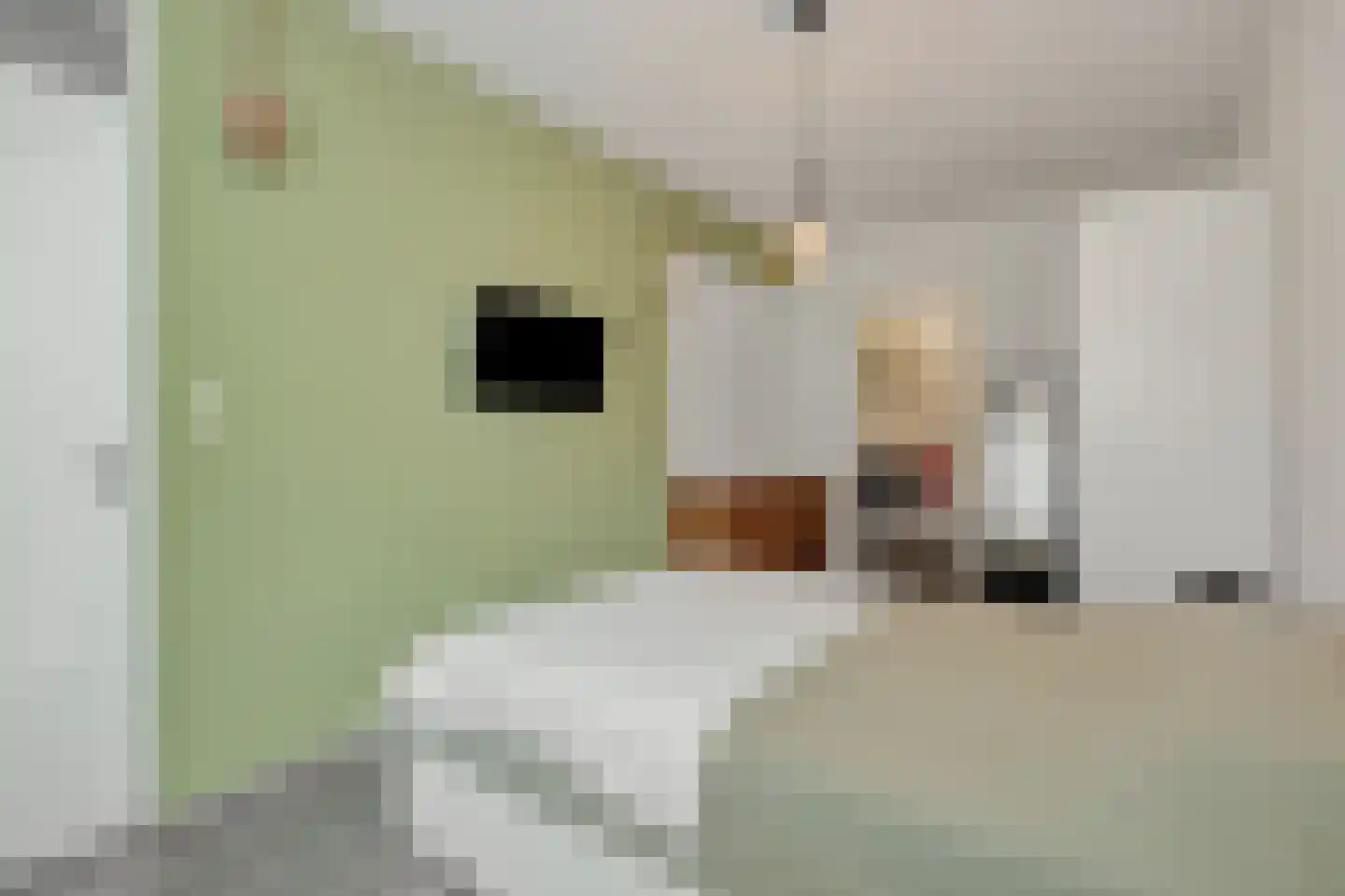 Zeeldraaierstraat 6 Vught thumbnail 15
