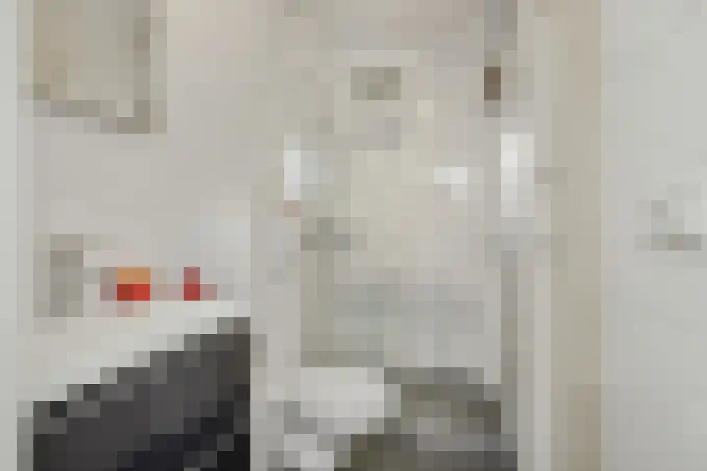 Zeeldraaierstraat 6 Vught thumbnail 19