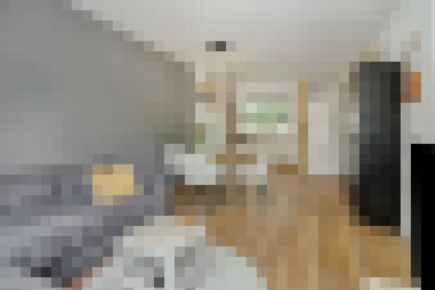 Zeeldraaierstraat 6 Vught thumbnail 5