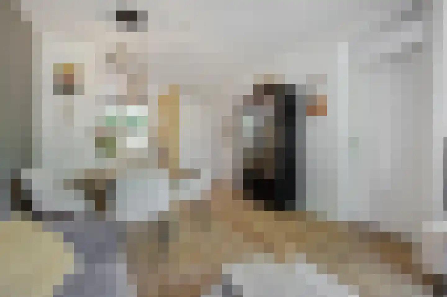 Zeeldraaierstraat 6 Vught thumbnail 6