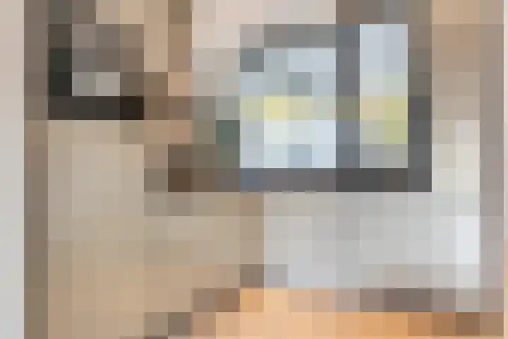 Zeeldraaierstraat 8 Vught thumbnail 11