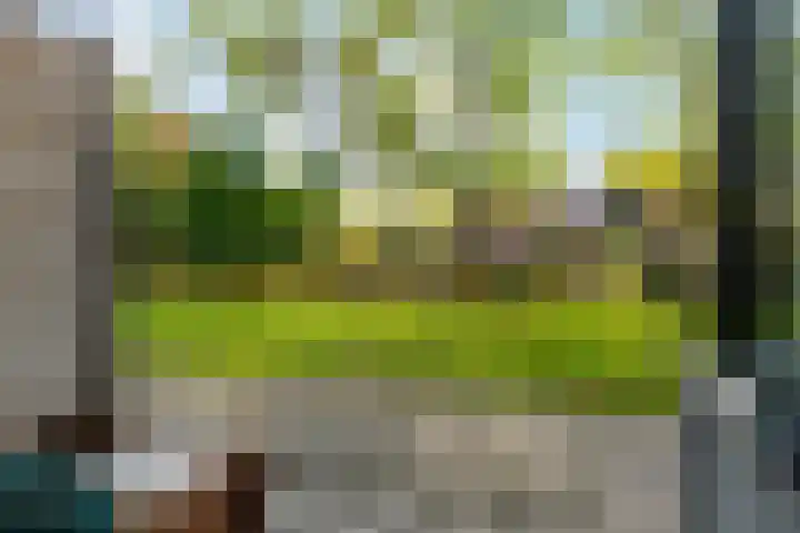 Zeeldraaierstraat 8 Vught thumbnail 14