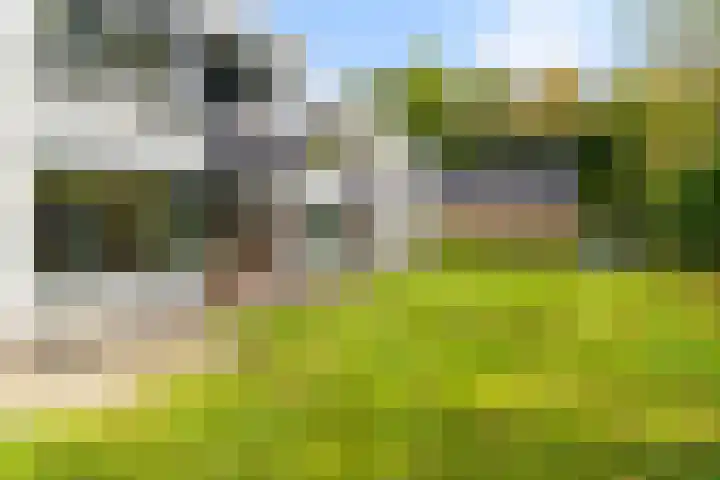 Zeeldraaierstraat 8 Vught thumbnail 17