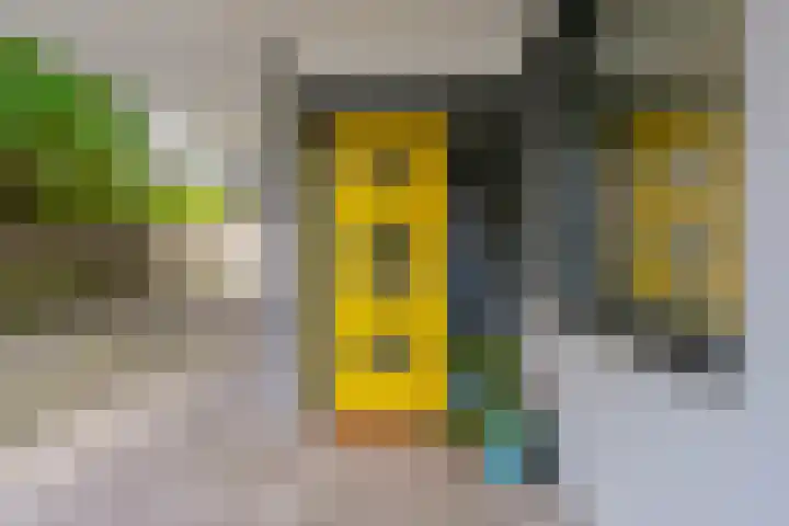 Zeeldraaierstraat 8 Vught thumbnail 27