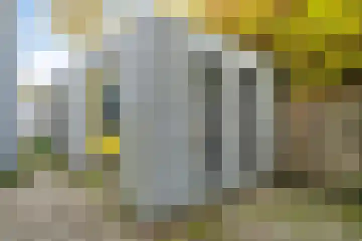 Zeeldraaierstraat 8 Vught thumbnail 29