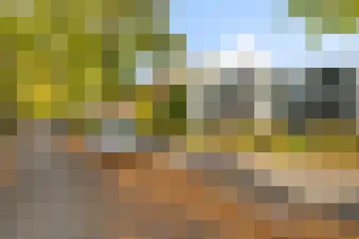 Zeeldraaierstraat 8 Vught thumbnail 30