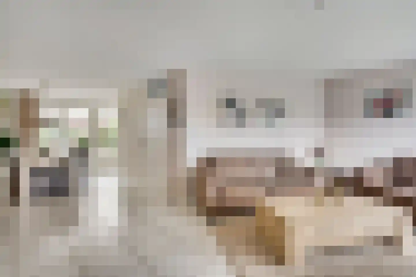 Zeelenweg 33 Helmond thumbnail 14