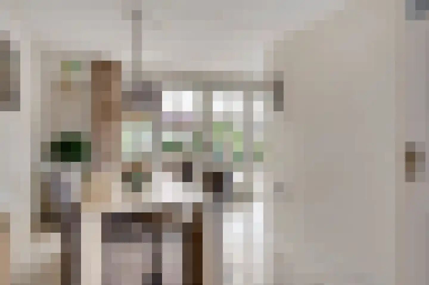 Zeelenweg 33 Helmond thumbnail 16