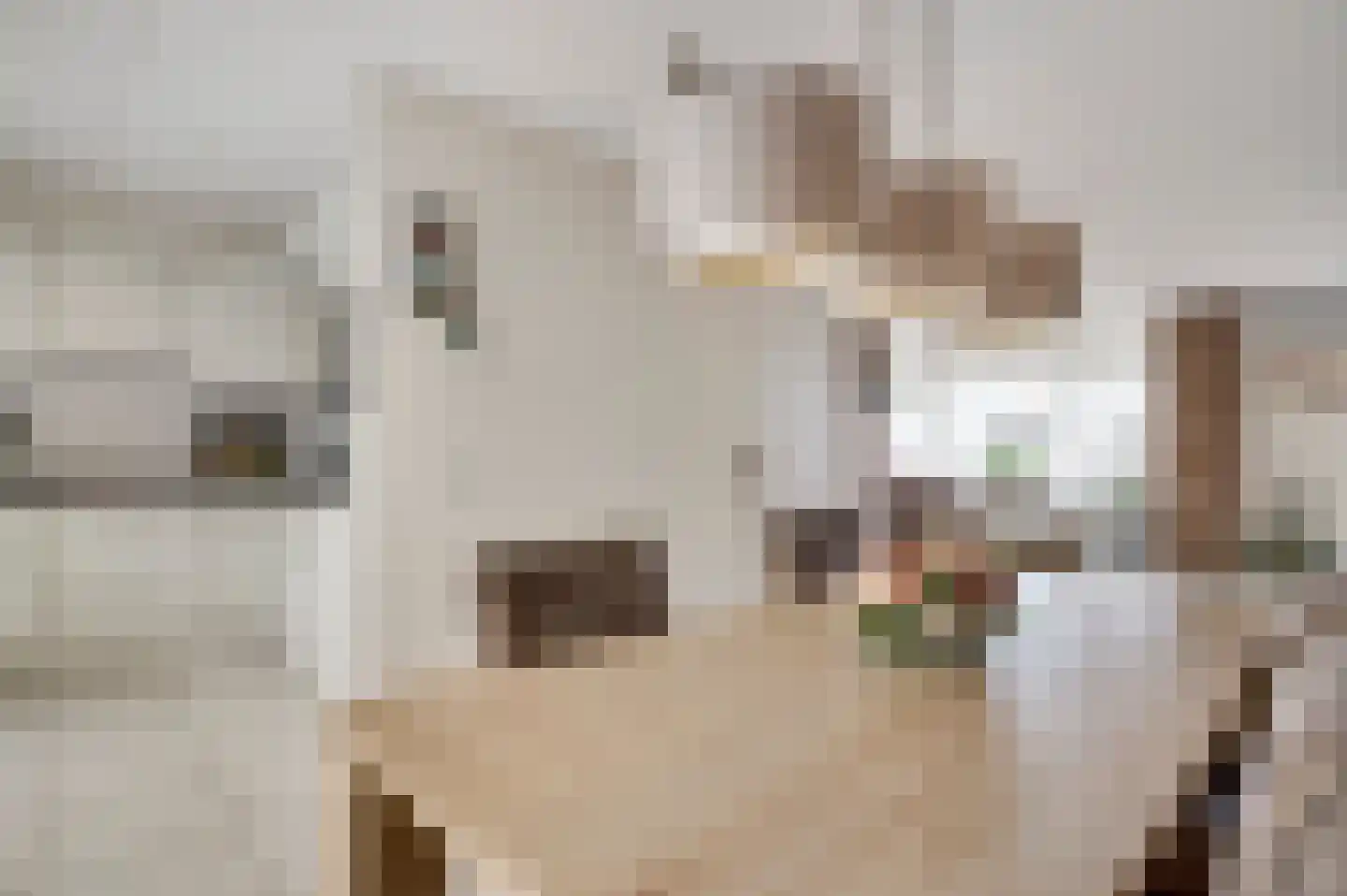 Zeelenweg 33 Helmond thumbnail 18