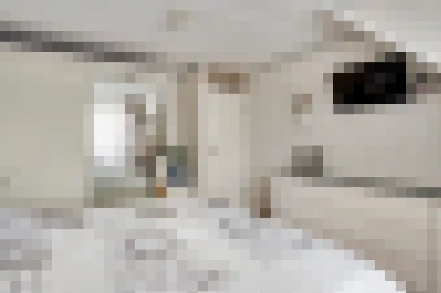 Zeelenweg 33 Helmond thumbnail 23