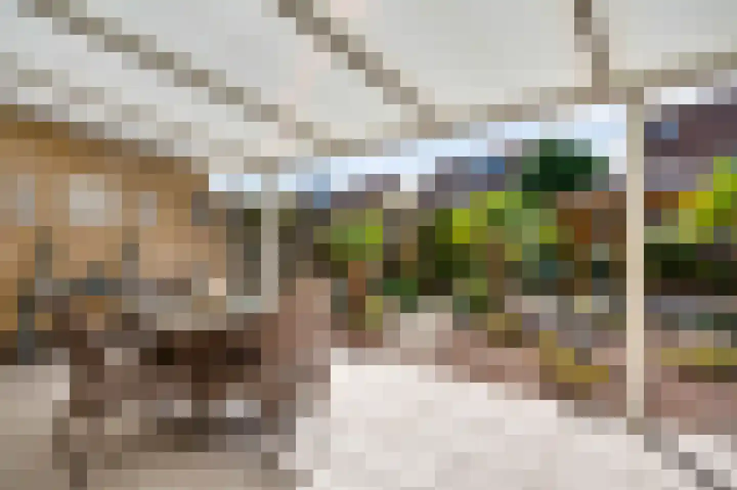 Zeelenweg 33 Helmond thumbnail 38