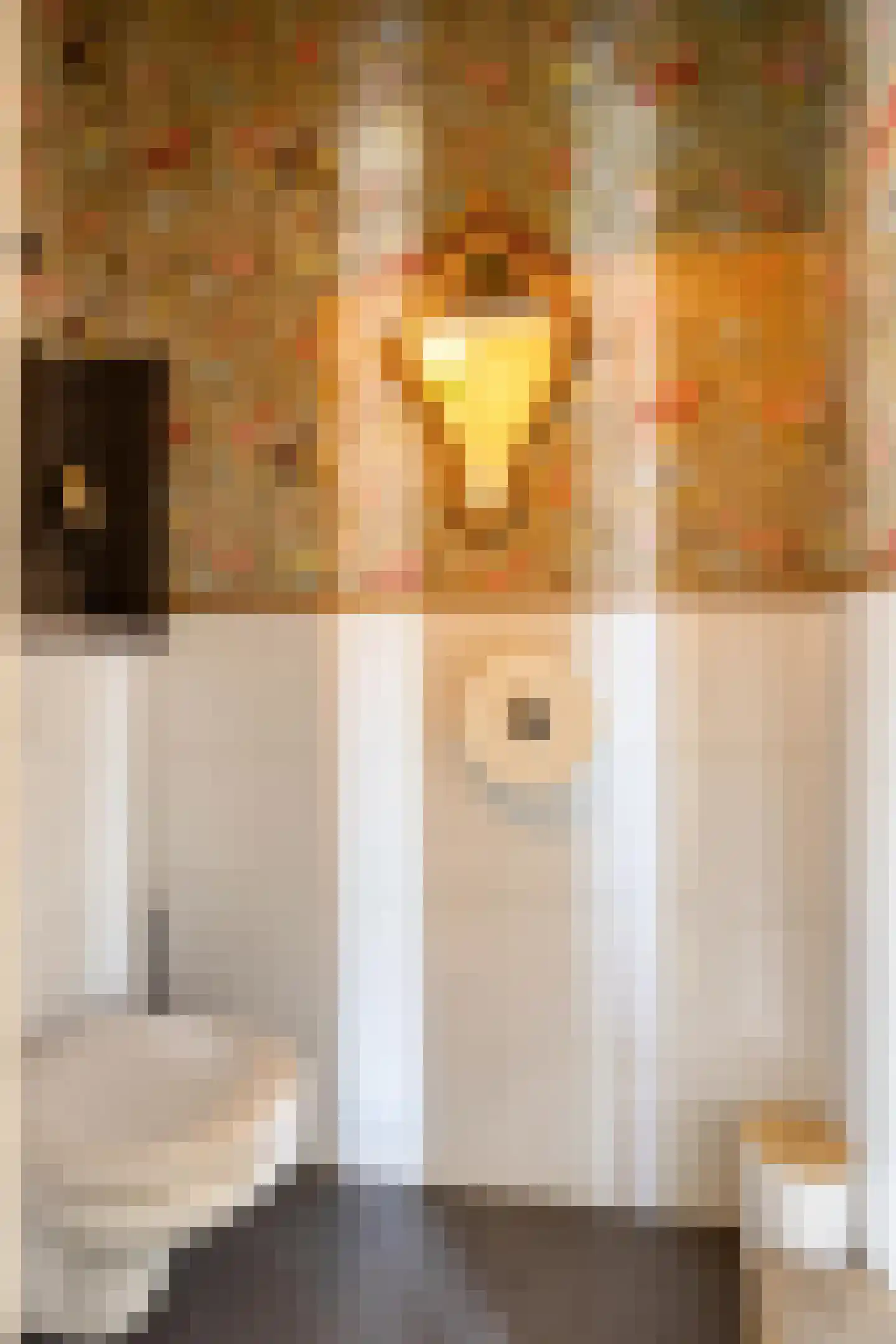 Zeelsterstraat 1 Eindhoven thumbnail 11