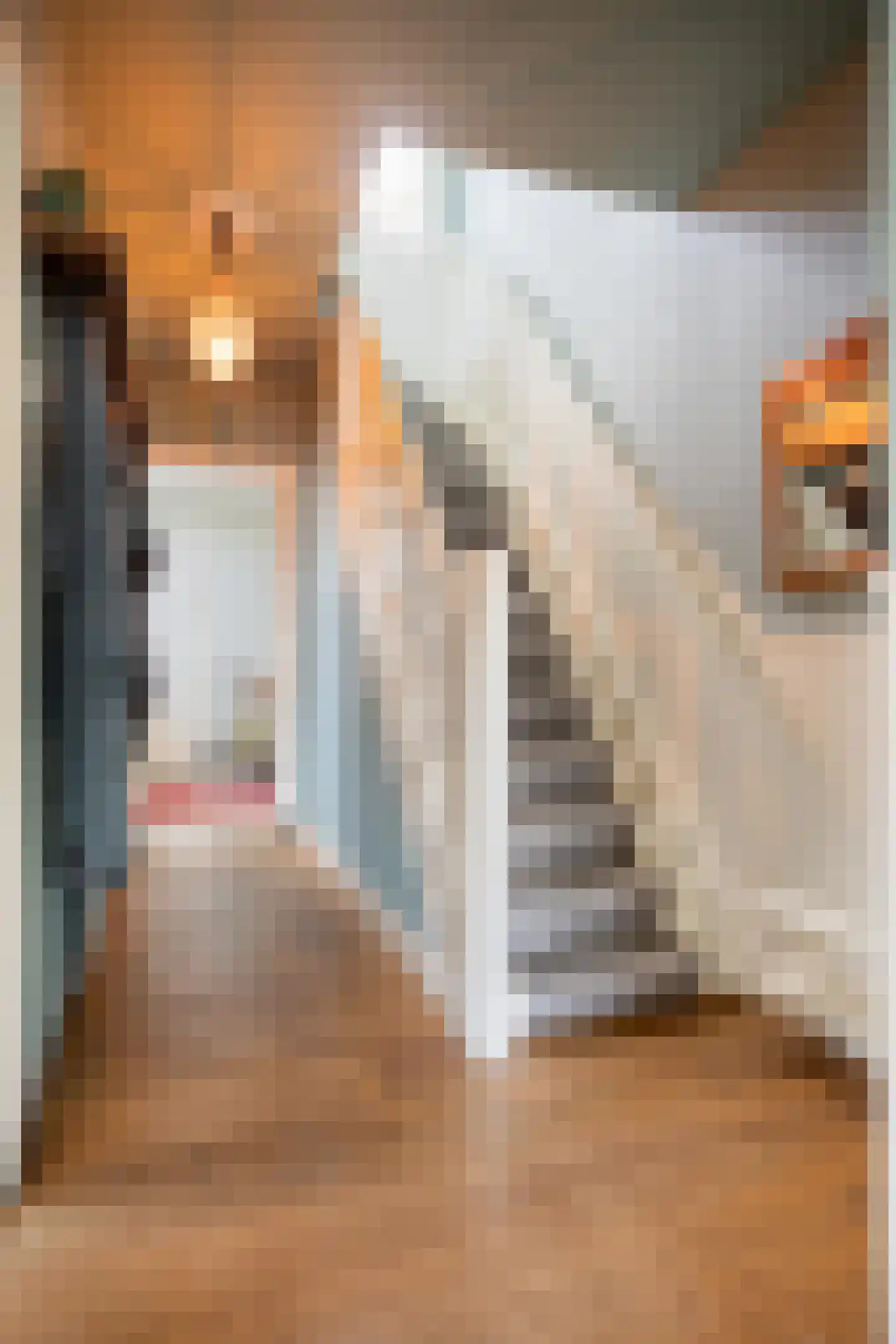 Zeelsterstraat 1 Eindhoven thumbnail 12
