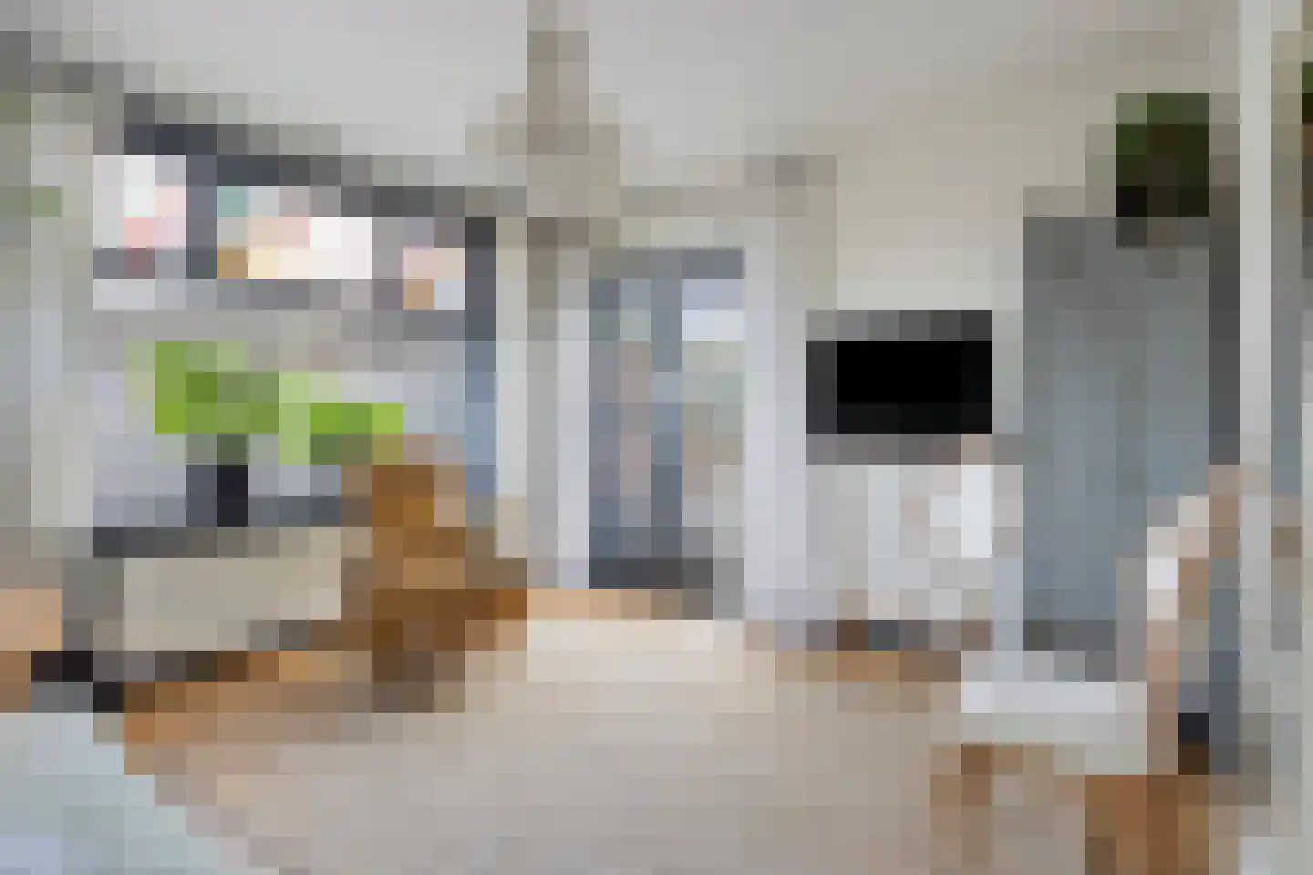 Zeelsterstraat 1 Eindhoven thumbnail 13