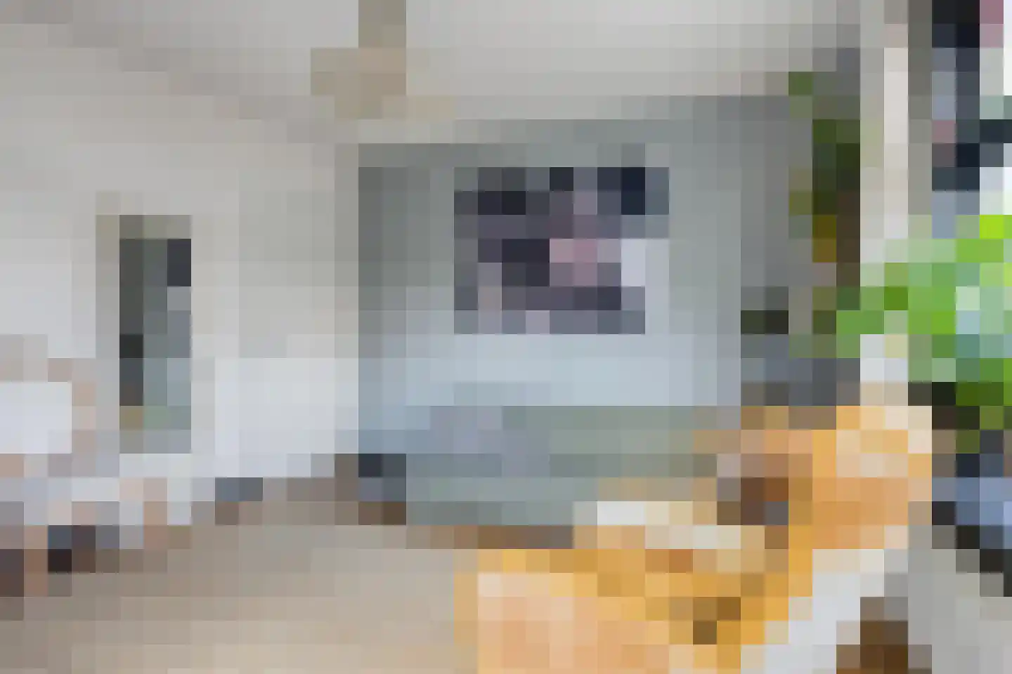 Zeelsterstraat 1 Eindhoven thumbnail 14