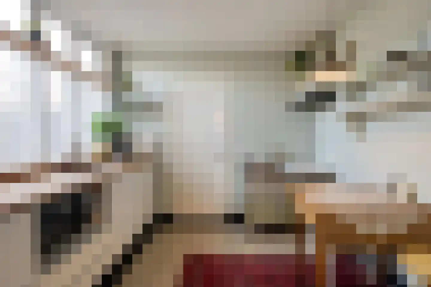 Zeelsterstraat 1 Eindhoven thumbnail 18