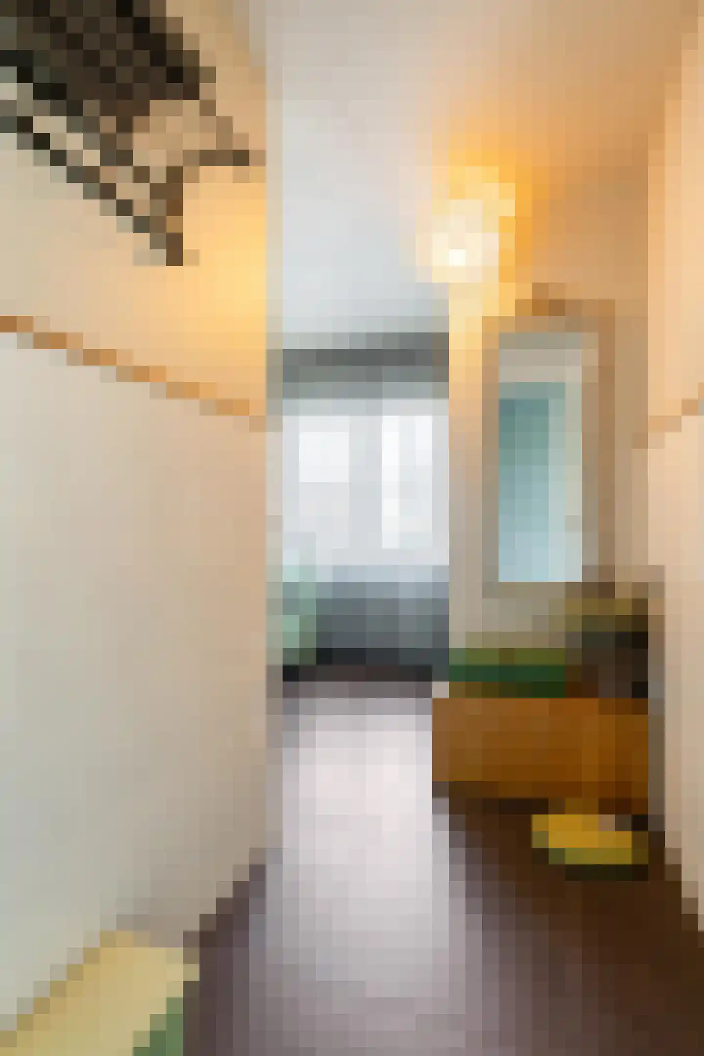 Zeelsterstraat 1 Eindhoven thumbnail 27