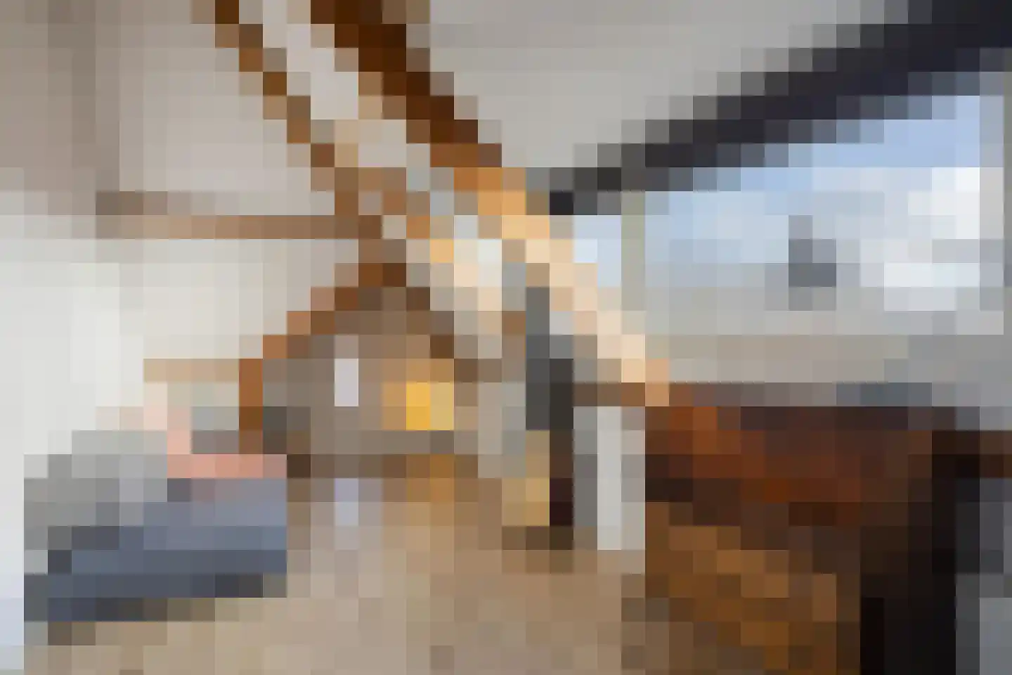 Zeelsterstraat 1 Eindhoven thumbnail 38