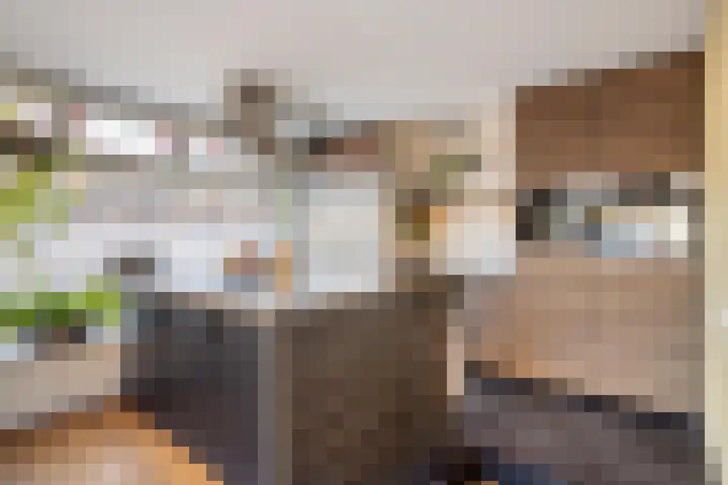 Zeelsterstraat 1 Eindhoven thumbnail 4