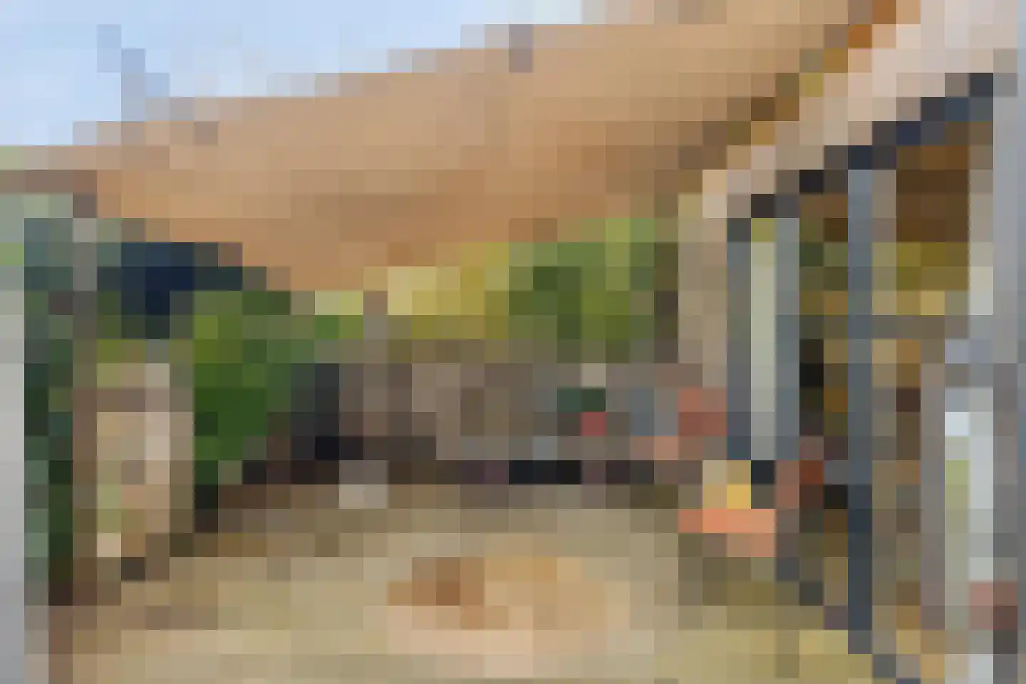 Zeelsterstraat 1 Eindhoven thumbnail 42
