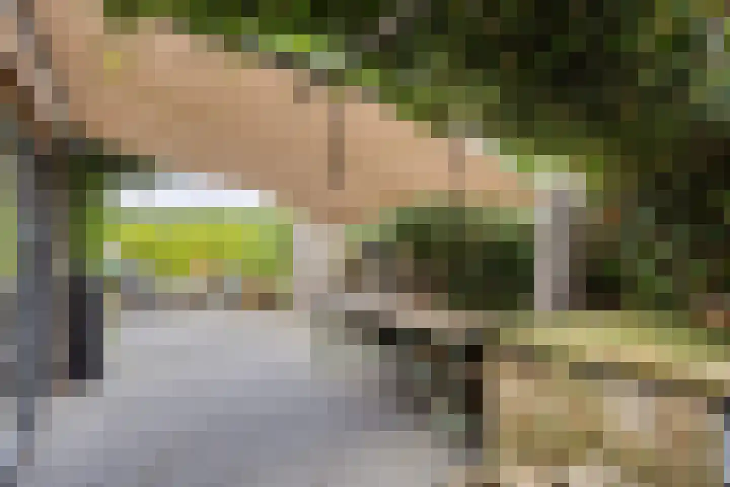 Zeelsterstraat 1 Eindhoven thumbnail 43