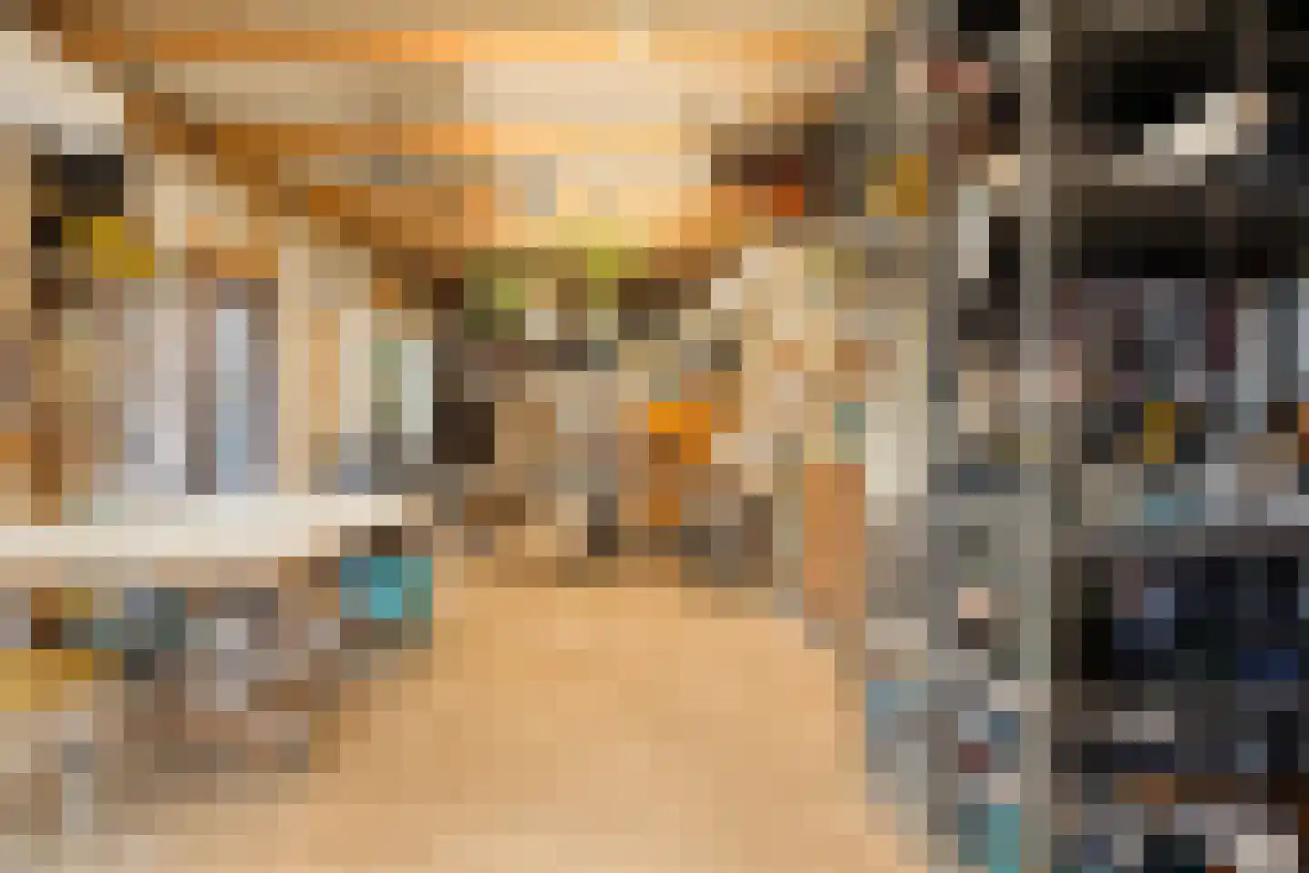 Zeelsterstraat 1 Eindhoven thumbnail 45