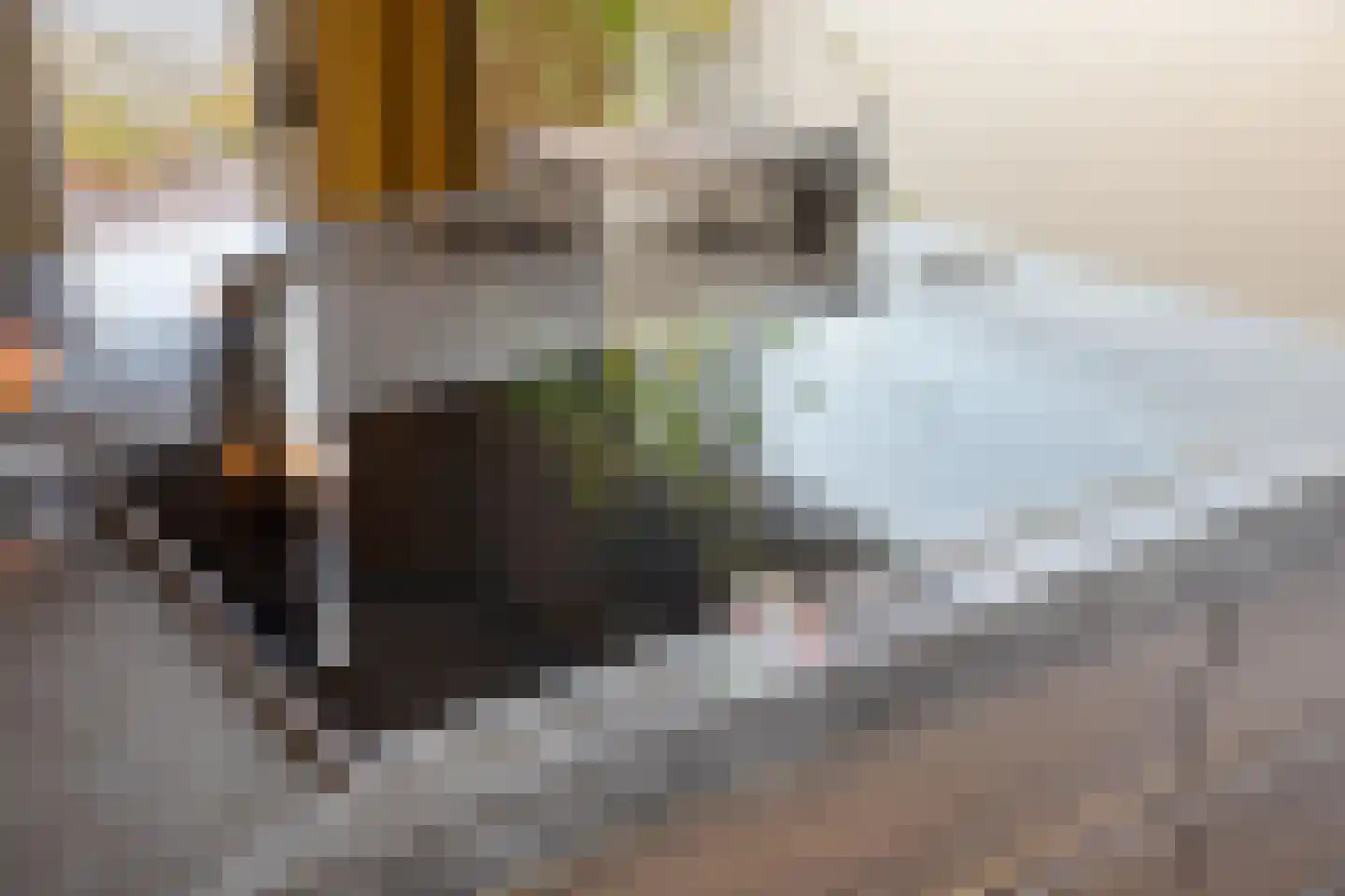 Zeelsterstraat 1 Eindhoven thumbnail 6