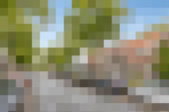 Zeelsterstraat 10 A Eindhoven thumbnail 19