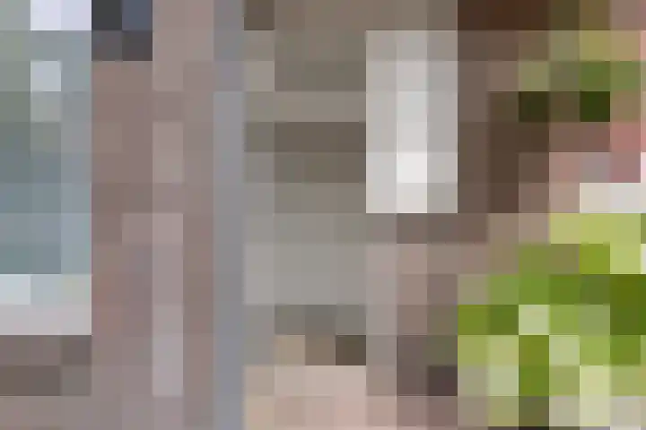 Zeelsterstraat 10 A Eindhoven thumbnail 6