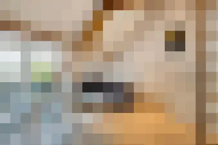 Zeelsterstraat 10 A Eindhoven thumbnail 8