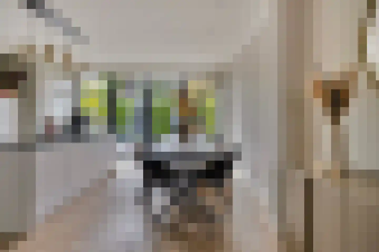 Zeelsterstraat 101 Eindhoven thumbnail 10