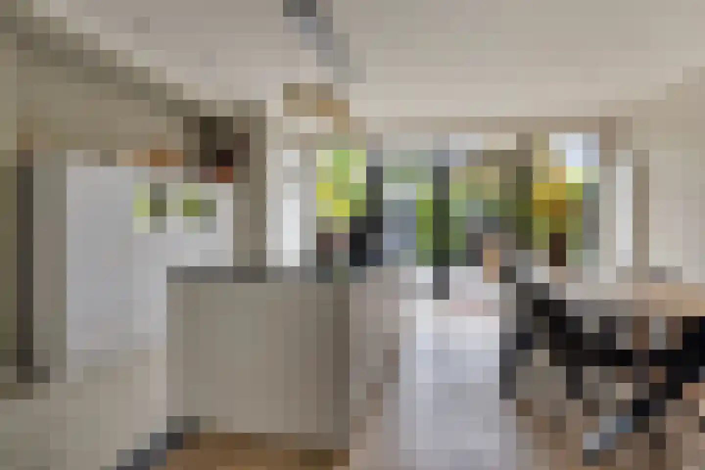Zeelsterstraat 101 Eindhoven thumbnail 11