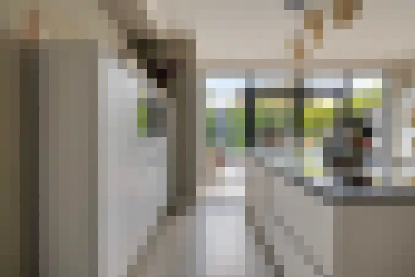 Zeelsterstraat 101 Eindhoven thumbnail 12