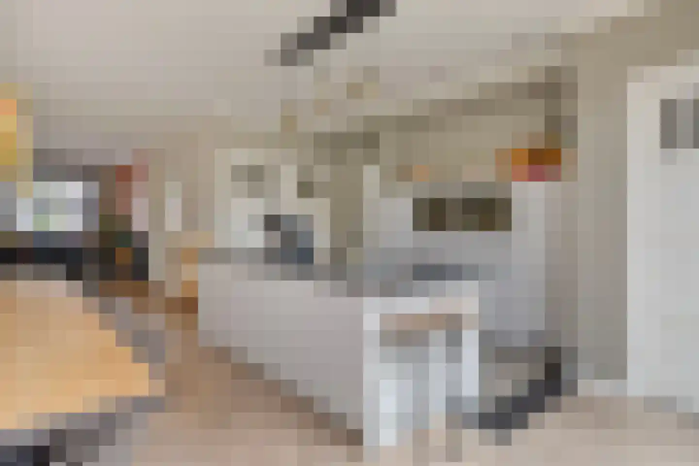 Zeelsterstraat 101 Eindhoven thumbnail 13