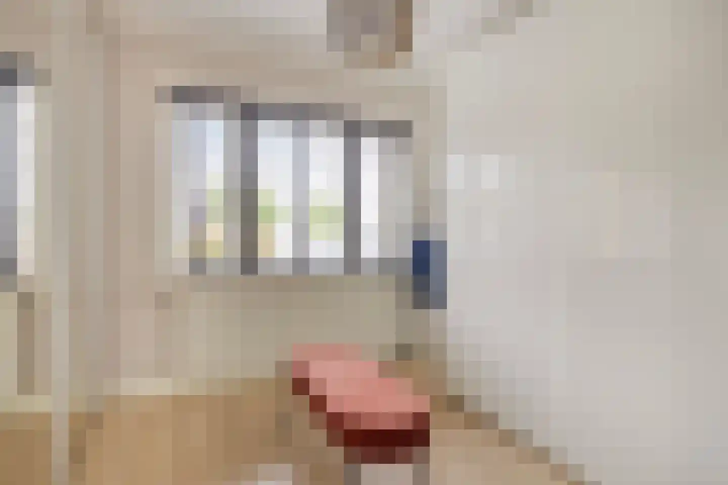 Zeelsterstraat 101 Eindhoven thumbnail 15