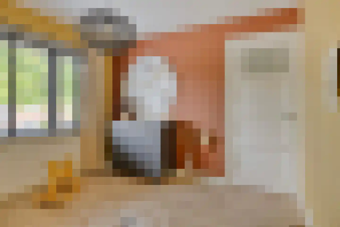 Zeelsterstraat 101 Eindhoven thumbnail 18