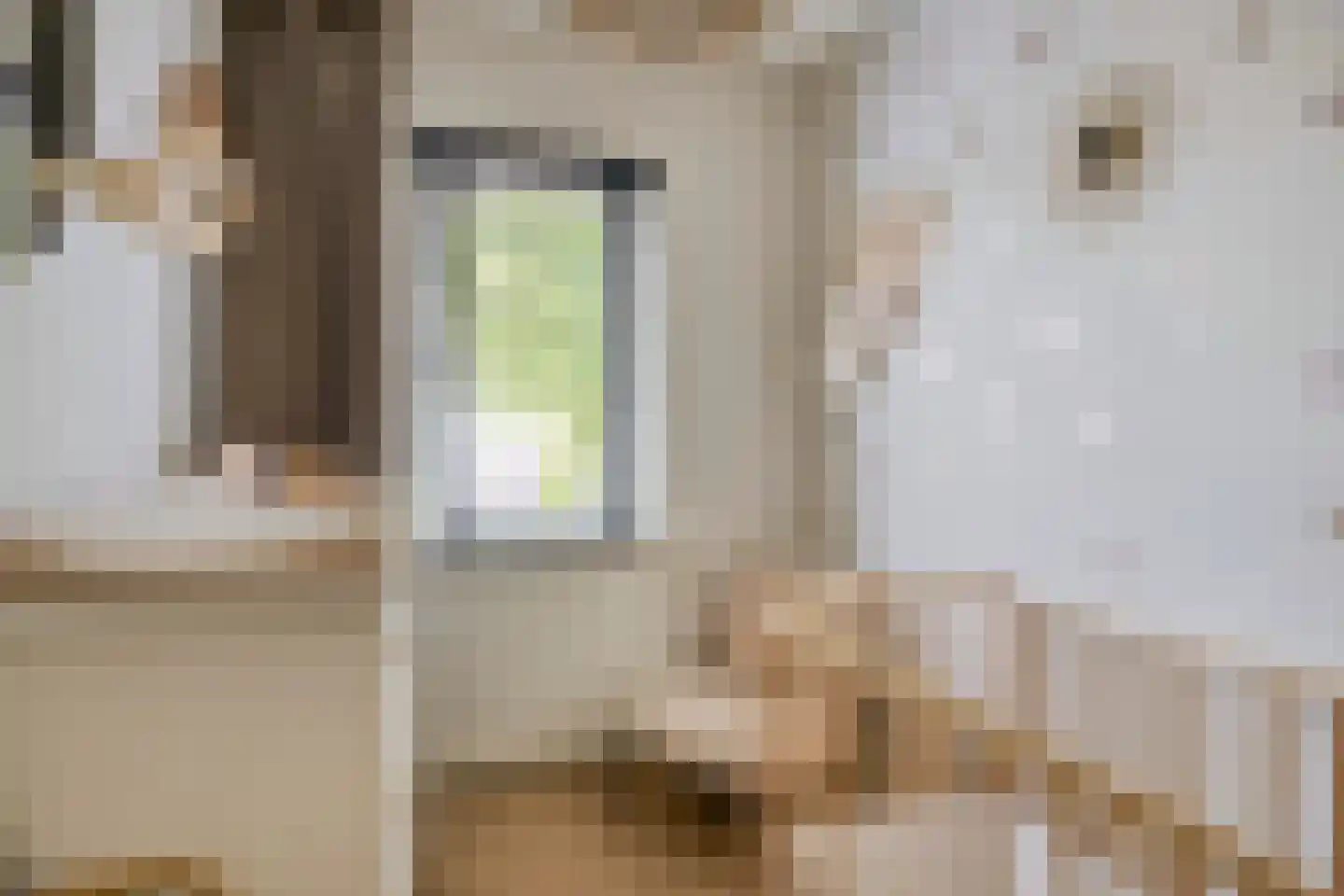 Zeelsterstraat 101 Eindhoven thumbnail 19