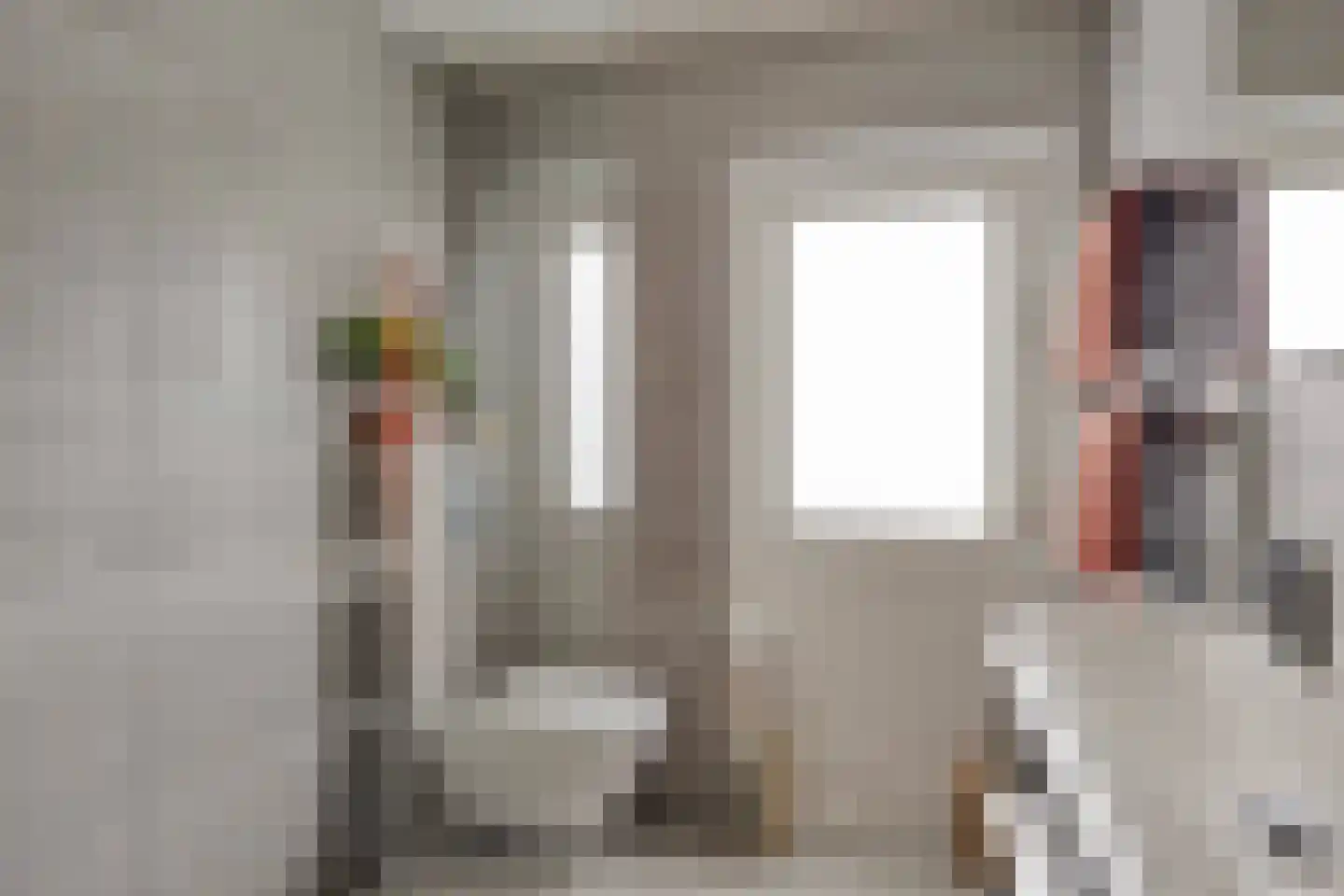 Zeelsterstraat 101 Eindhoven thumbnail 20