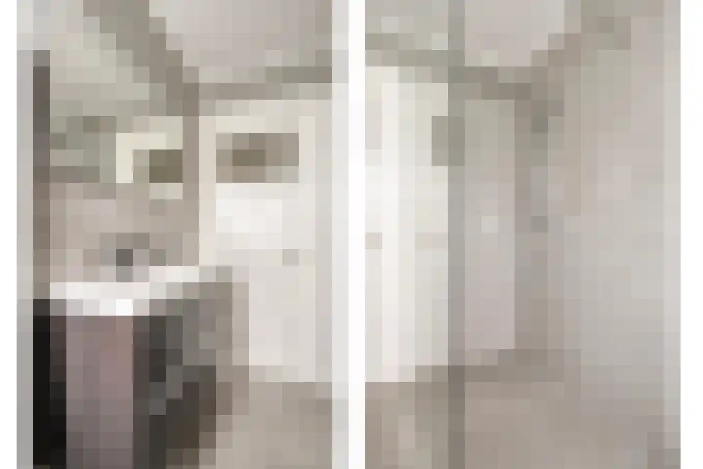 Zeelsterstraat 101 Eindhoven thumbnail 21