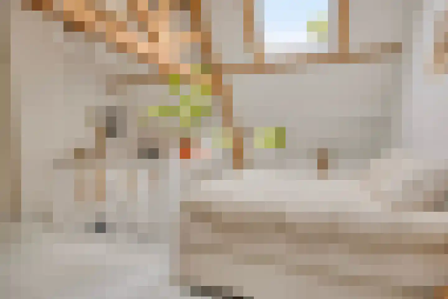 Zeelsterstraat 101 Eindhoven thumbnail 24