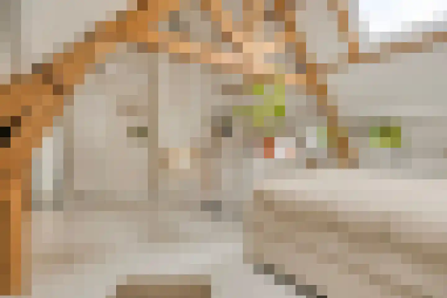 Zeelsterstraat 101 Eindhoven thumbnail 26