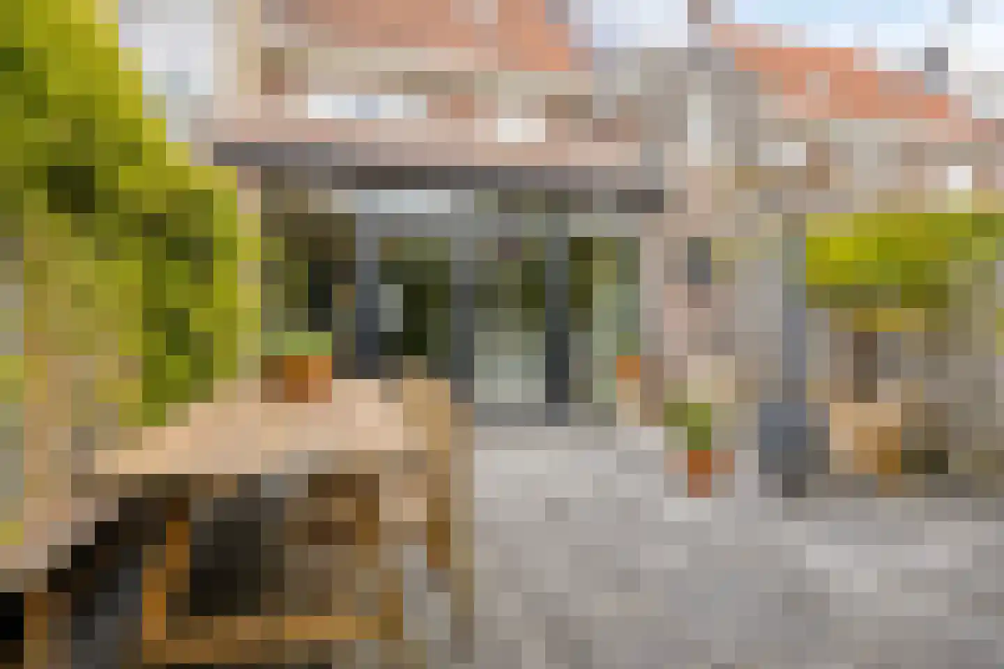 Zeelsterstraat 101 Eindhoven thumbnail 27